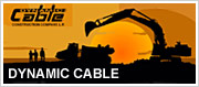 Visit Dynamic Cable's Website